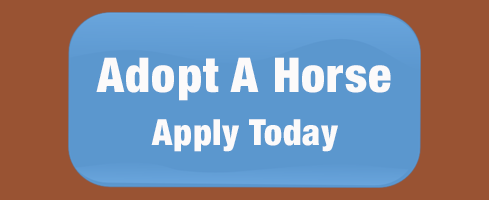 Adopt A Horse